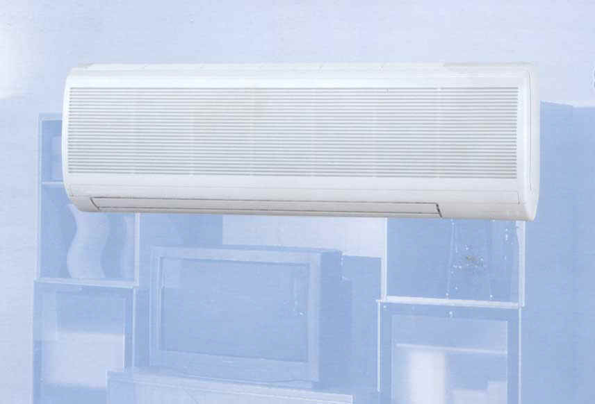 Foto-monosplit.jpg (18809 byte)